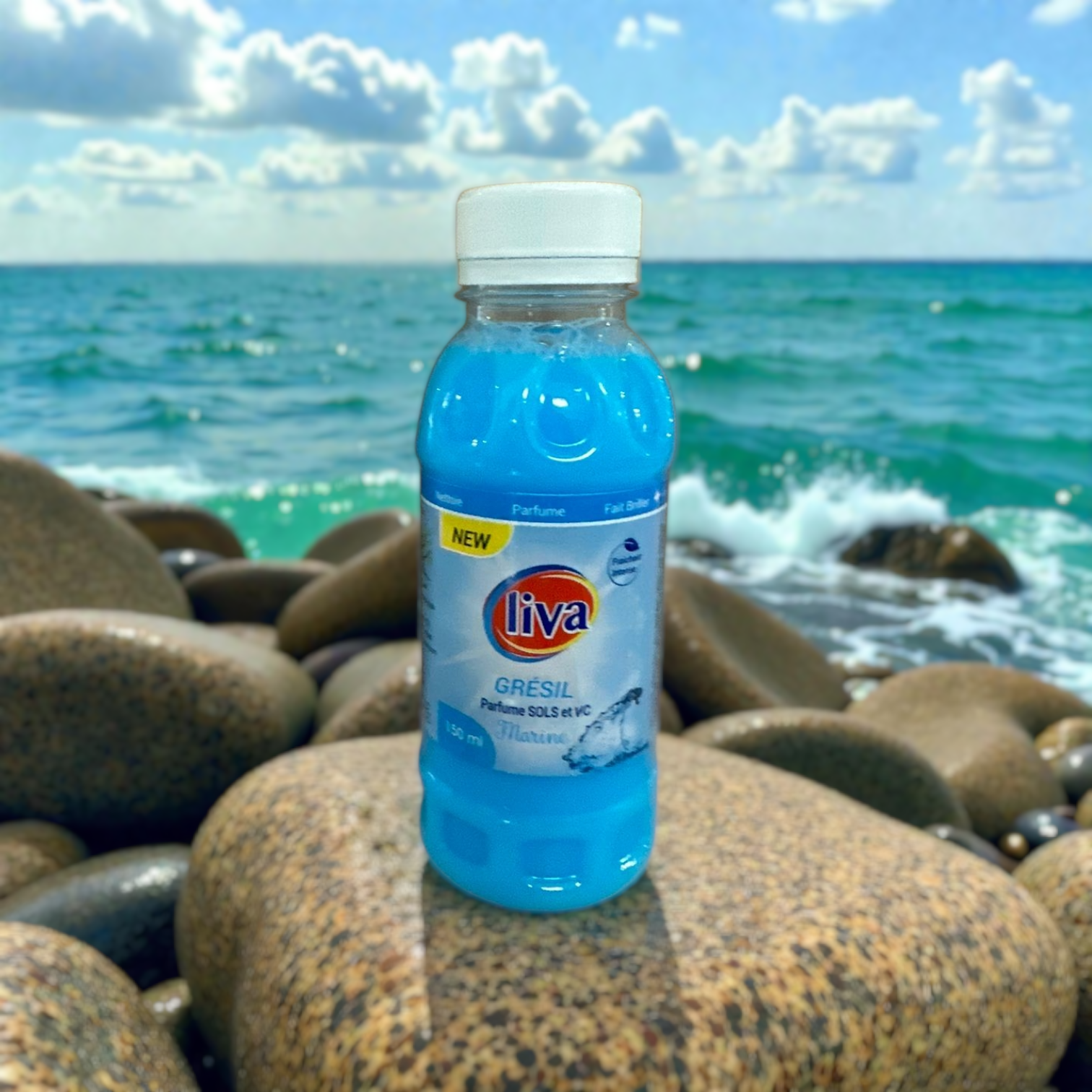 Liva Grésil - Marine